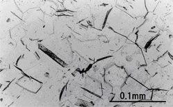 写真２:水素を吸収したチタンの金属組織写真（黒い線状の部分がチタンの水素化物）