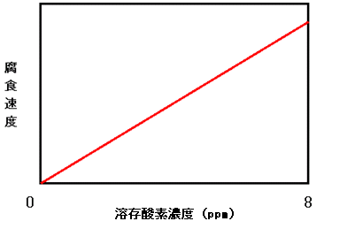 付図 溶存酸素濃度と炭素鋼の腐食速度の関係（模式図）