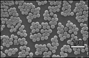 Magnified image of NanoAct™