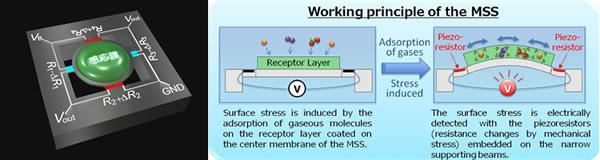 What is an MSS (Membrane-type Surface stress Sensor)?