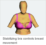 Stabilizing bra controls breast movement
