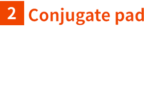 Conjugate pad