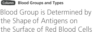 Column: Blood groups and types: Blood group is determined by the shape of antigens on the surface of red blood cells