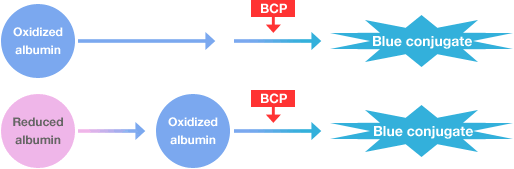Albumin: A novel BCP method permits more specific measurement of albumin.