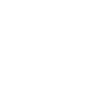 FINENESS, DURABILITY, LABORATORY APPROACH, COMFORT  AND SUSTAINABILITY