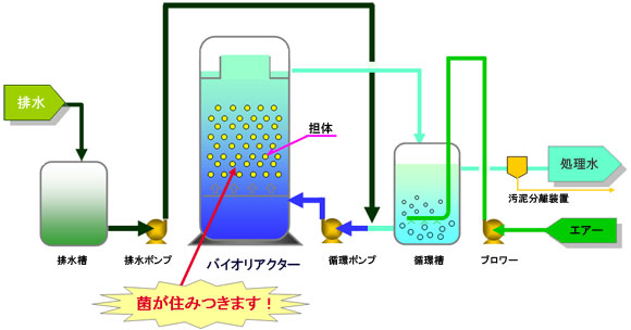 生物処理技術フロー