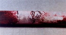 写真１．ステンレス鋼製熱交換器の管外面の浸透探傷結果
(シェル側通水の熱交換器、バッフル部近傍)