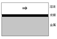 図１．溶液中で皮膜が生じた状態の模式図（⇒は流速の程度と方向を示す）