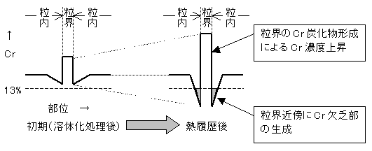 鋭敏化状態の説明（Cr濃度の分布）