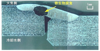 写真 冷却水環境において、微生物腐食により、数ヶ月で漏れに至ったSUS304製配管の漏れ部断面