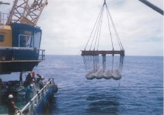 ファブリフォーム 各種高深度海底配管保護工 スプリングファブリフォーム