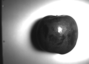 InGaAsカメラによるリンゴの内部検査