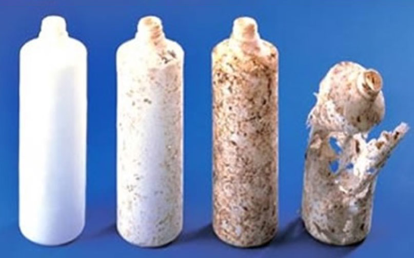 生分解性プラスチック分解経過サンプル