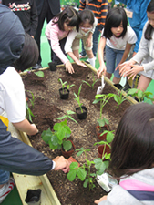 2011年6月2日 ／ 九段小学校