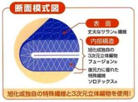 断面模式図