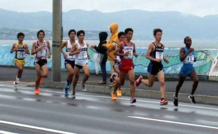 函館 ハーフ マラソン