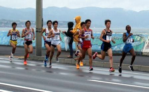 2015函館ハーフマラソン大会