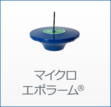 マイクロエポラーム