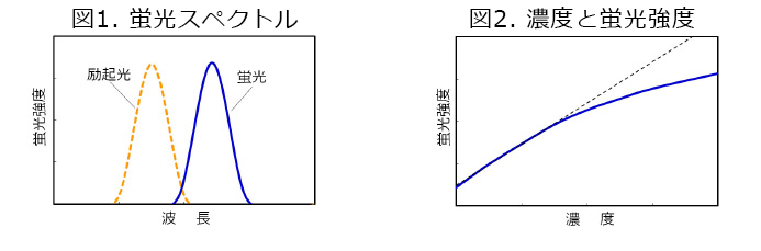 蛍光スペクトル・濃度と蛍光強度グラフ