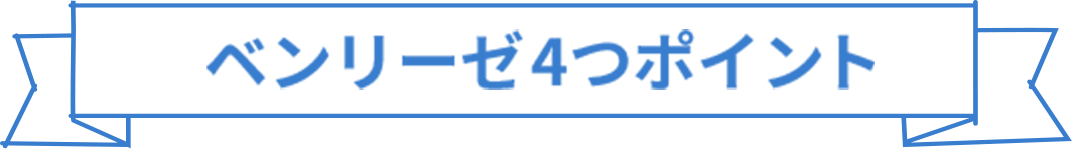 ベンリーゼ4つのポイント