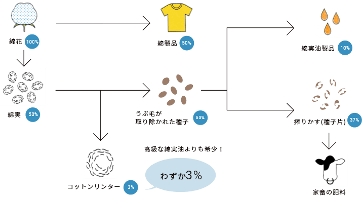 Only From Asahi Kasei ベンリーゼとは キュプラ長繊維不織布 ベンリーゼ Bemliese 旭化成株式会社 繊維事業