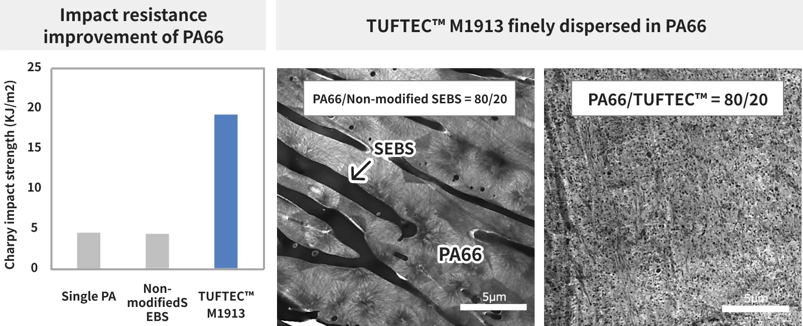 Improved Impact Resistance of PA66: TUFTEC™ is Finely Dispersed in PA66