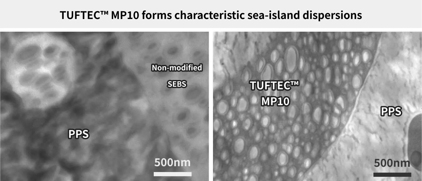 TUFTEC™ MP10 Forms a Salami-Structure Sea-Island Dispersion
