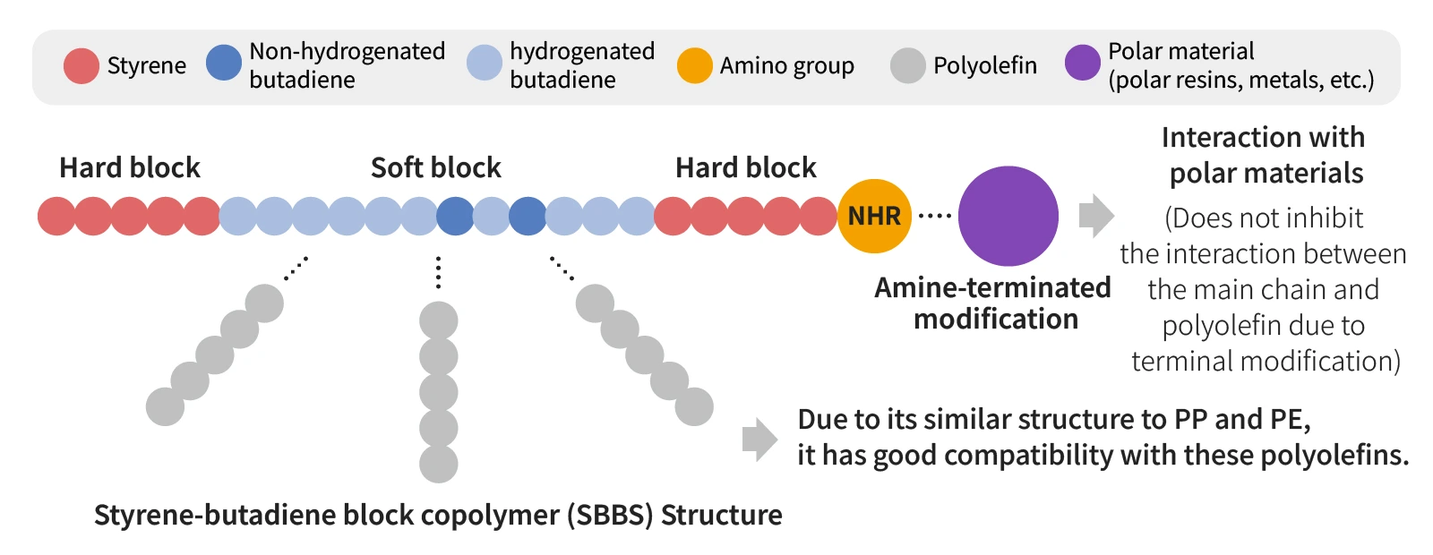 Structure du MP10