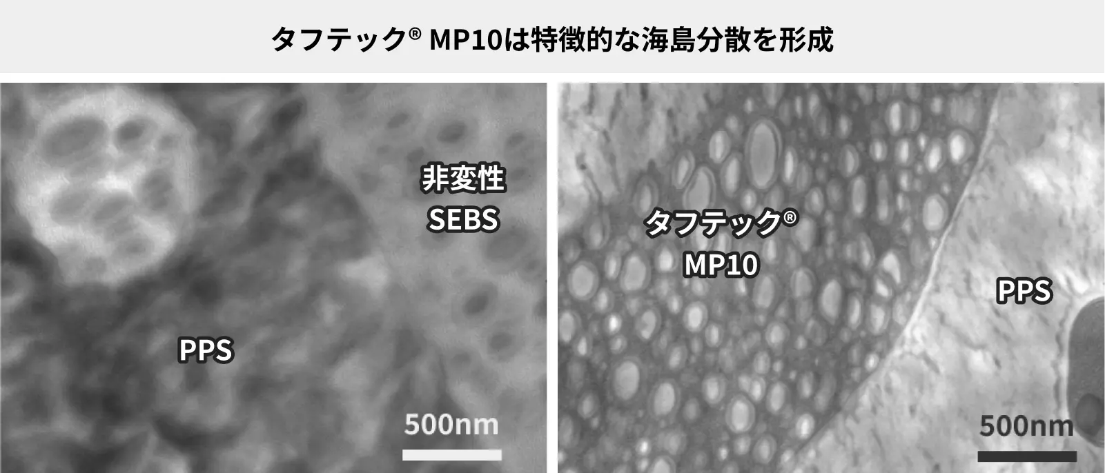 タフテック® MP10はサラミ構造の海島分散を形成