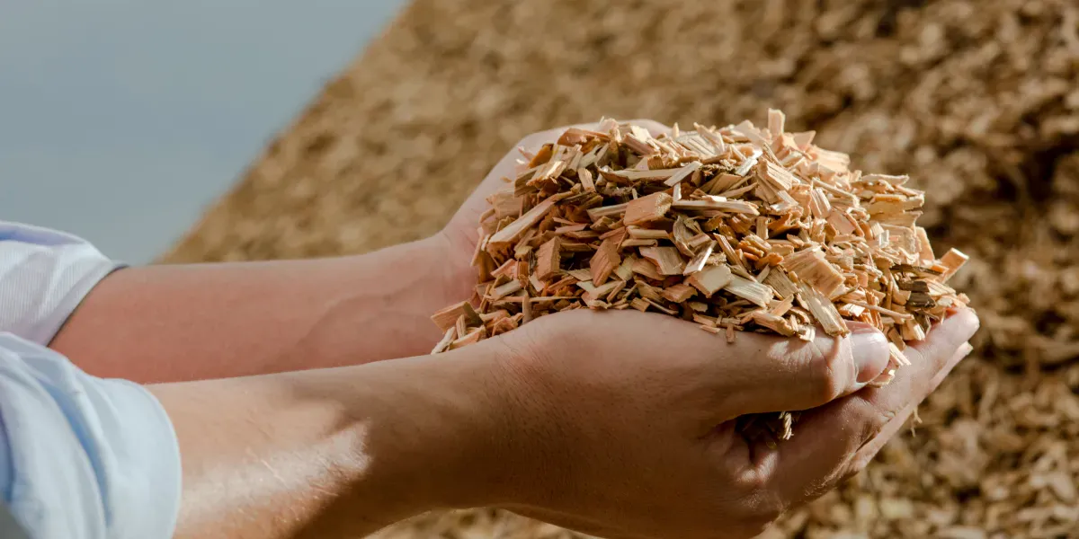 Utilizzo nei composti con bio-cariche