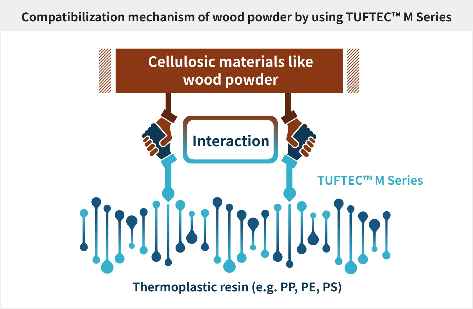 By incorporating TUFTEC™ M series into low-polarity resins like polyolefins, the functional groups on the surface of bio-fillers interact, resulting in improved filler dispersion.