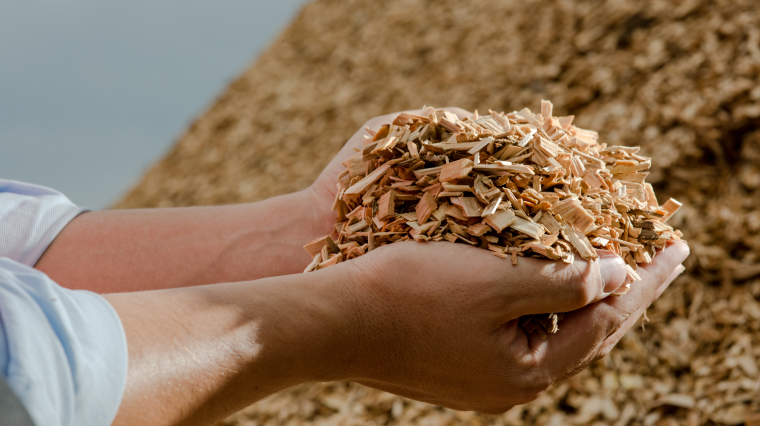 Utilizzo di compound con biofiller
