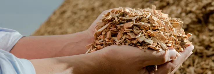 Biyodolgulu Bileşik Kullanımı