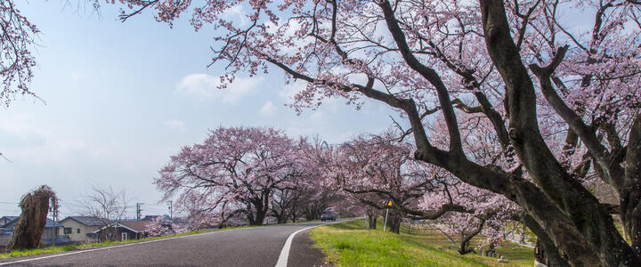 ベンベルグ®パートナーズ（テキスタイル）北陸産地を公開しました。