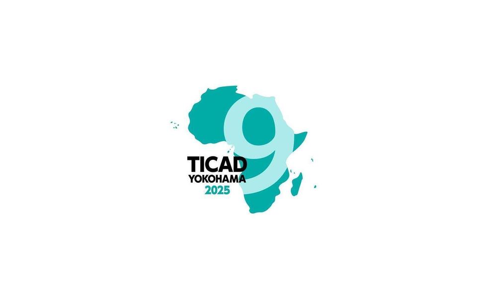 TICAD9パートナー事業に「Bazin染色家支援プロジェクト2025」が認定されました