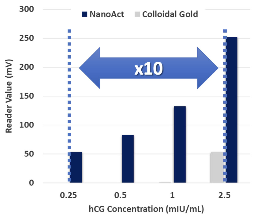 hCG Assay