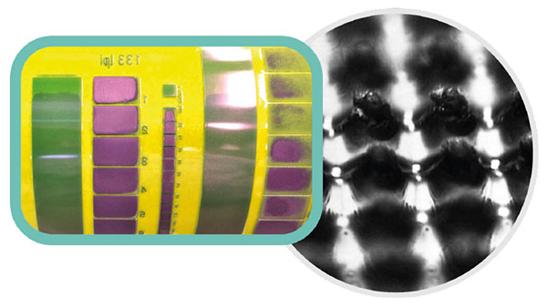 Standard Plate VISIBLE INK FILL-IN