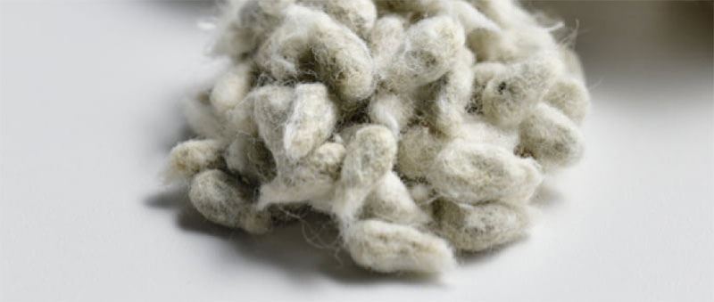 The raw material of Bemberg™ is cotton linter