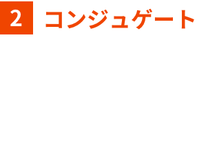 コンジュゲートパッド用不織布