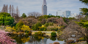 東京駅