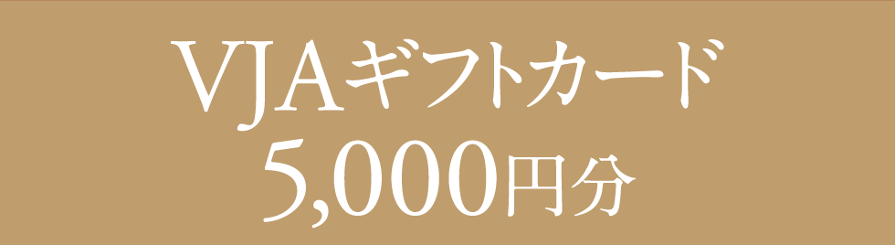 VJAギフトカード,5,000円分