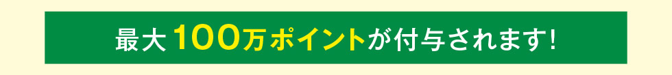 最大100万ポイントが付与されます！