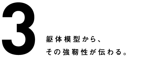 3.躯体模型から、その強靭性が伝わる。