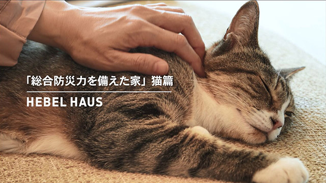 「総合防災力を備えた家」猫篇 ｜ヘーベルハウス