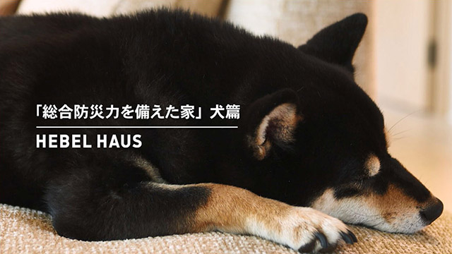 「総合防災力を備えた家」犬篇 ｜ヘーベルハウス