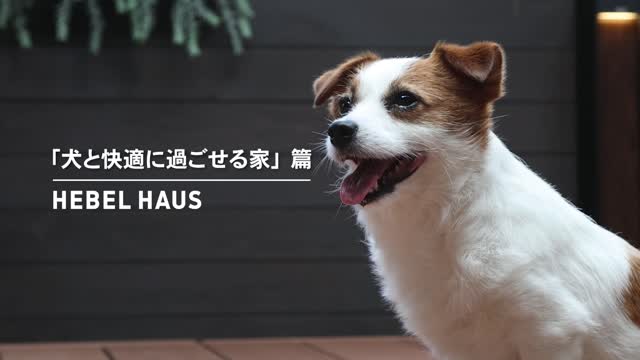 「犬と快適に過ごせる家」篇