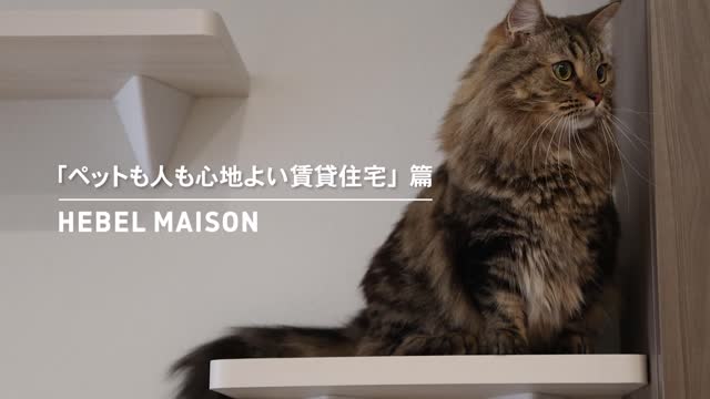 「ペットも人も心地よい賃貸住宅」猫篇