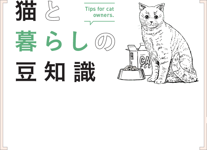 猫と暮らしの豆知識