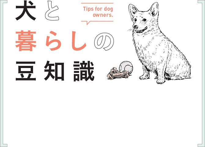 犬と暮らしの豆知識