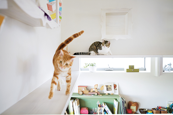 ペットと暮らす ヘーベルハウス 注文住宅の実例 くらし方 商品 ペットと暮らす ヘーベルハウス 注文住宅の実例 くらし方 商品